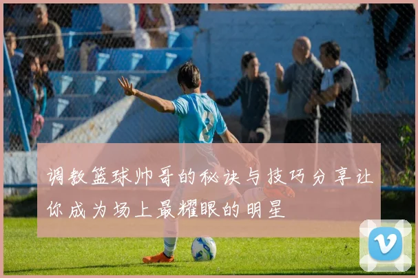 调教篮球帅哥的秘诀与技巧分享让你成为场上最耀眼的明星