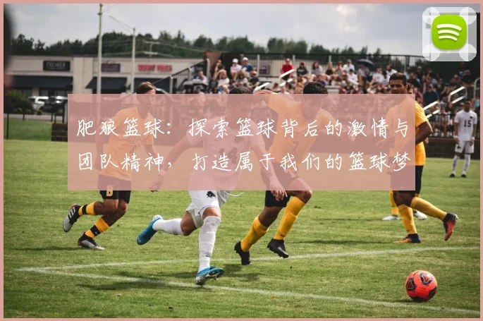 肥狼篮球：探索篮球背后的激情与团队精神，打造属于我们的篮球梦想