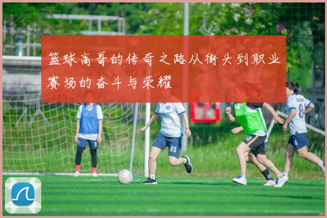 篮球高哥的传奇之路从街头到职业赛场的奋斗与荣耀