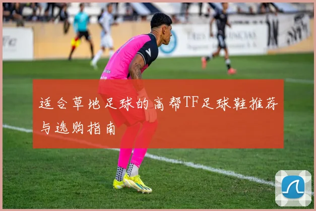 适合草地足球的高帮TF足球鞋推荐与选购指南